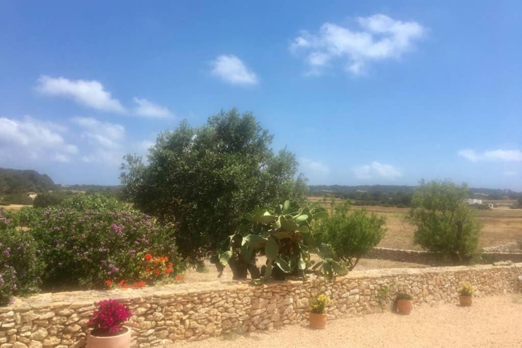 Casa Rural Es Cap De Barbaria San Francisco Javier Экстерьер фото